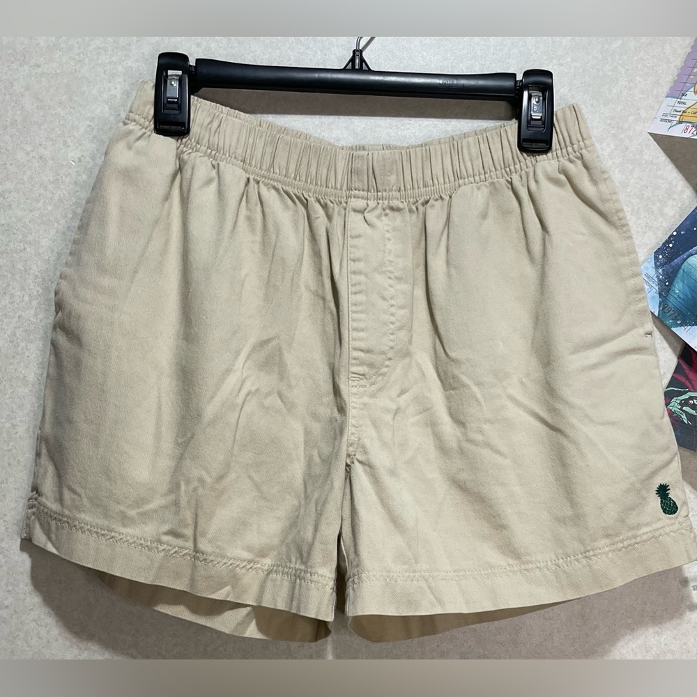Chubbies Guys Shorts